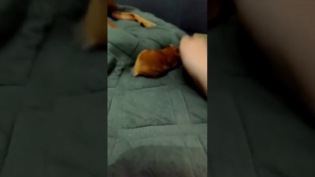 разговариваю с вами