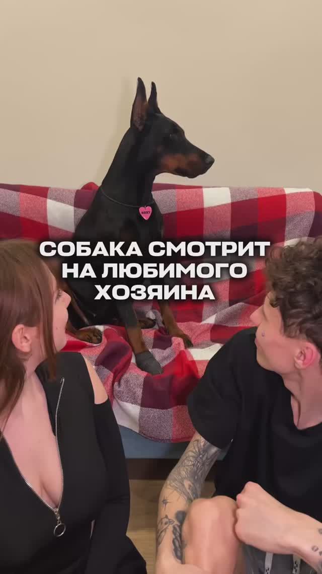 КОГО ЛЮБИТ РОКСИ?🥰🐶