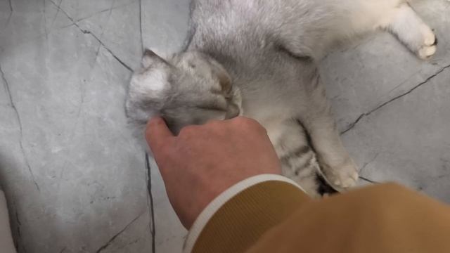 Новый маникюр 💅 Жизнь в Крыму