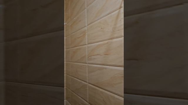 Видео 1ка Голубое, Тверецкий пр., д16к2