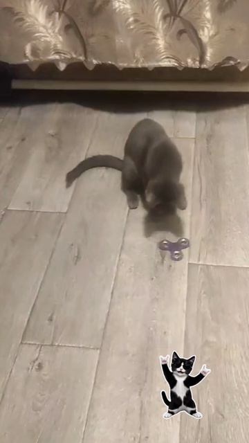 Забавная игрушка!