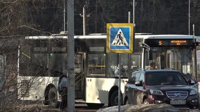 26-03 МСО И СОБАКИ