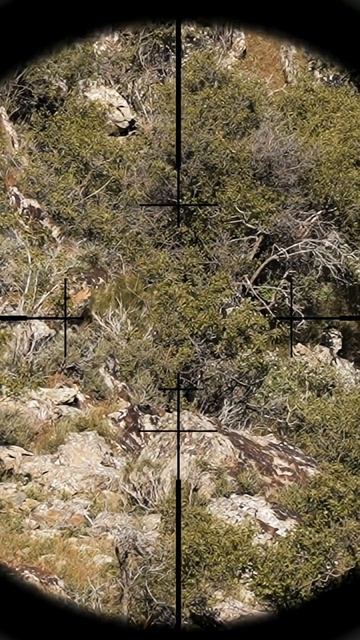 Ed61234082afc1e66375282ac751dde8