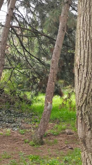 F56e7a509219c88425ecdc240881651b