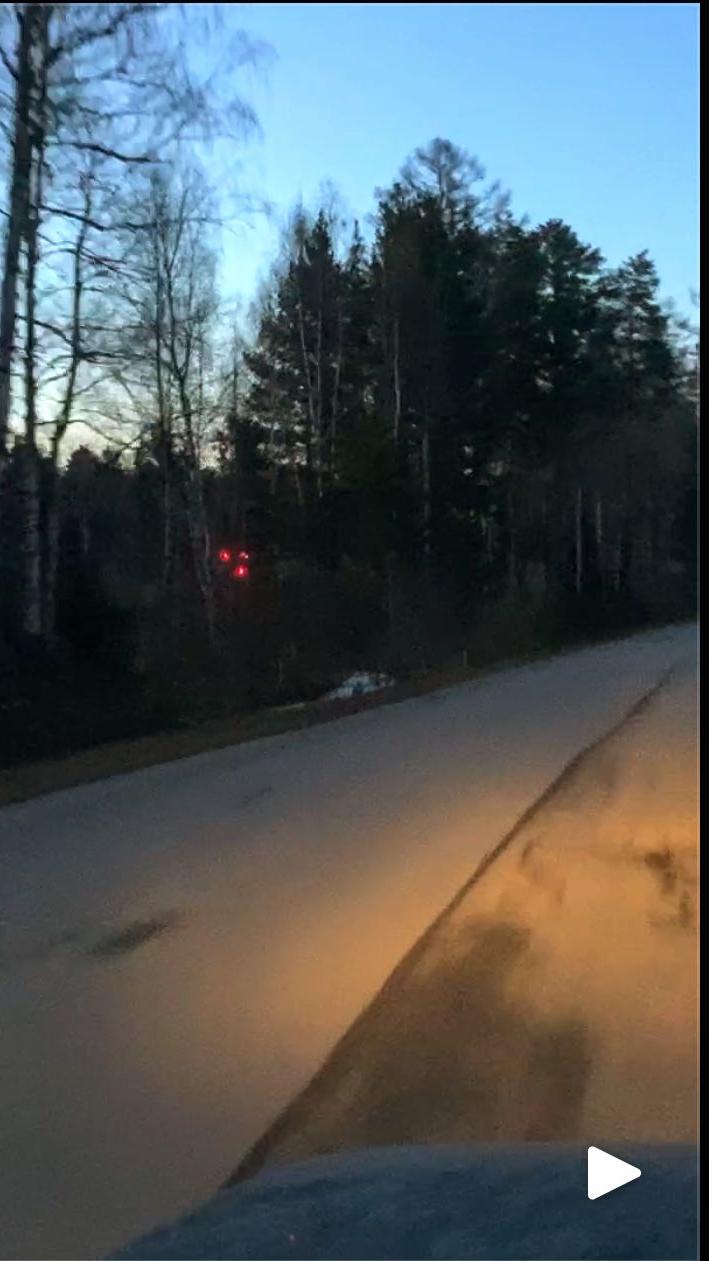 ПОПЫТКА на НИВЕ ОБОГНАТЬ ЭЛЕКТРИЧКУ ЛАСТОЧКУ