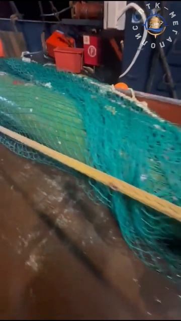 Чудо-юдо торпеда-кит