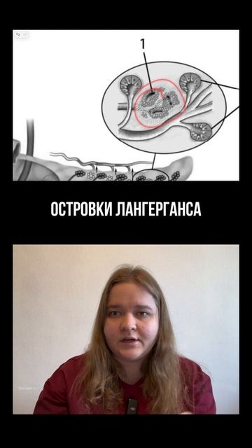 топовые матриалы по биологии с которыми ты разорвешь вторую часть. Ссылка в профиле