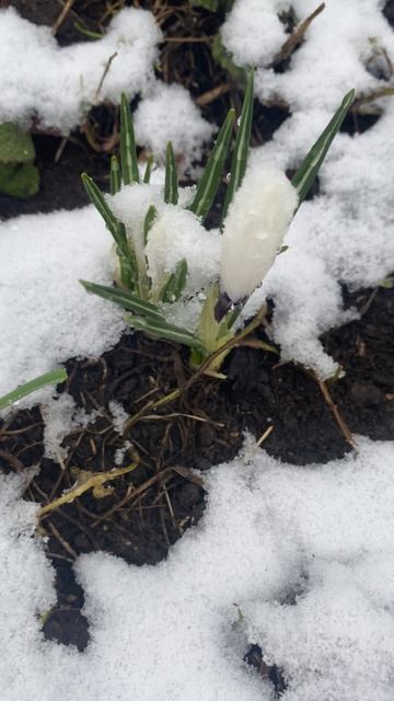 У ПРИРОДЫ НЕТ ПЛОХОЙ ПОГОДЫ