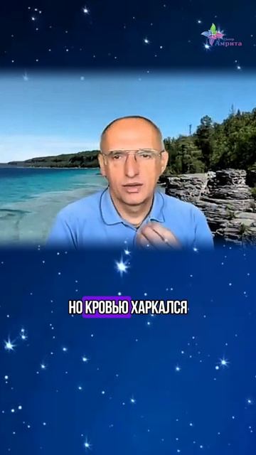 ♻️ Отчего страдает желудок. Торсунов О. Г.