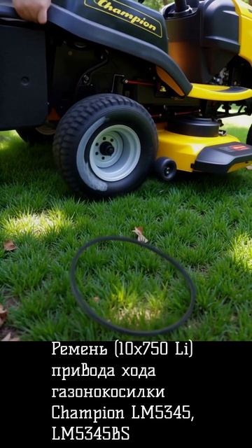 Ремень (10x750 Li) привода хода газонокосилки Champion LM5345, LM5345BS