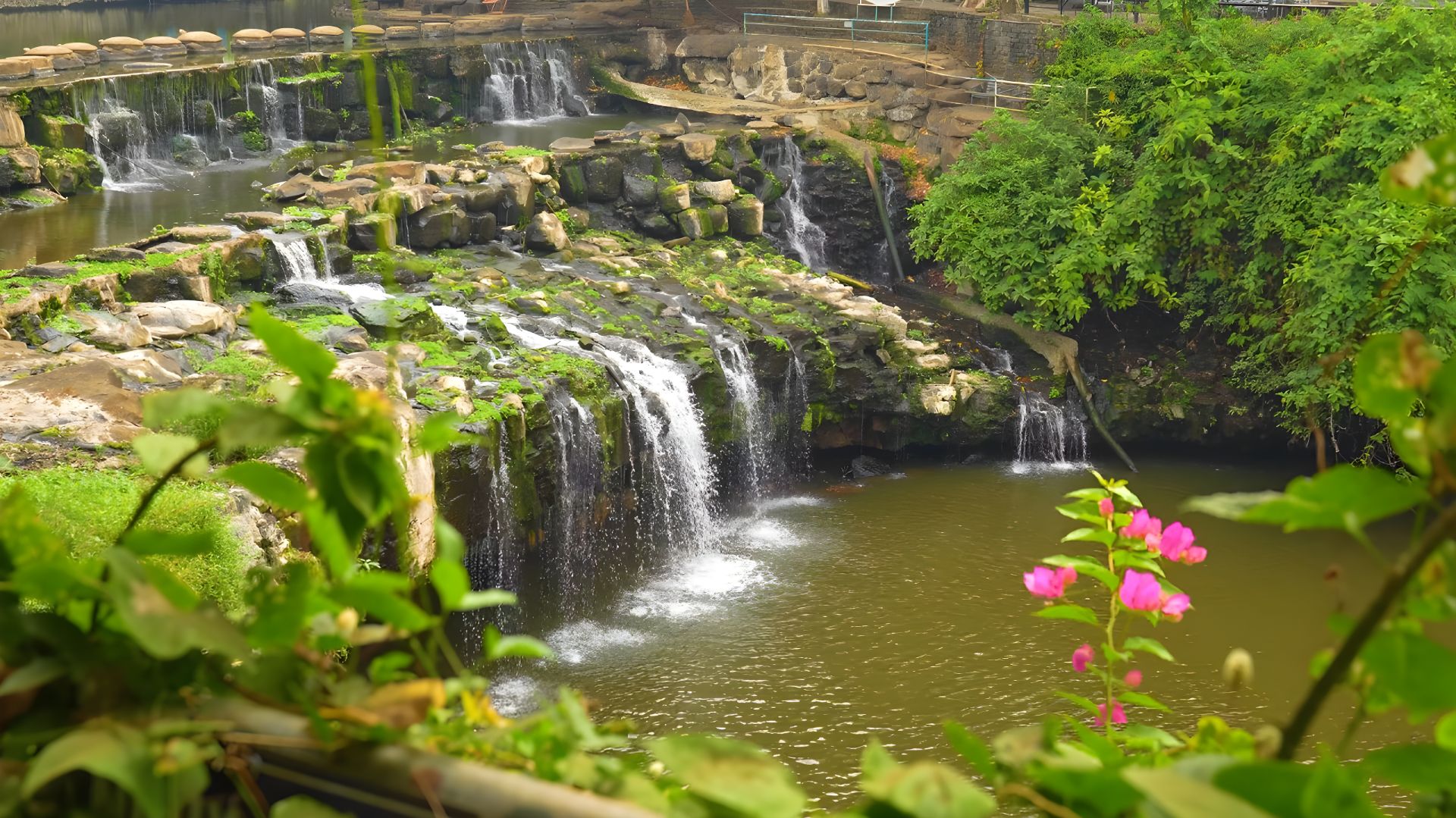Звуки природы 🌿журчание реки и пение птиц для расслабления, медитации и улучшения сна.