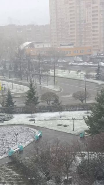 Еще кадры апрельской метели 🌨️Демо-версия весны закончилась — пора продлевать🤭
