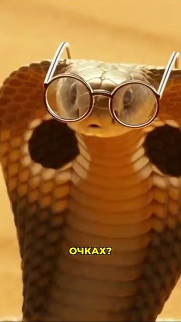 3d8b56067b2cf1803a9d3b7f62064d15