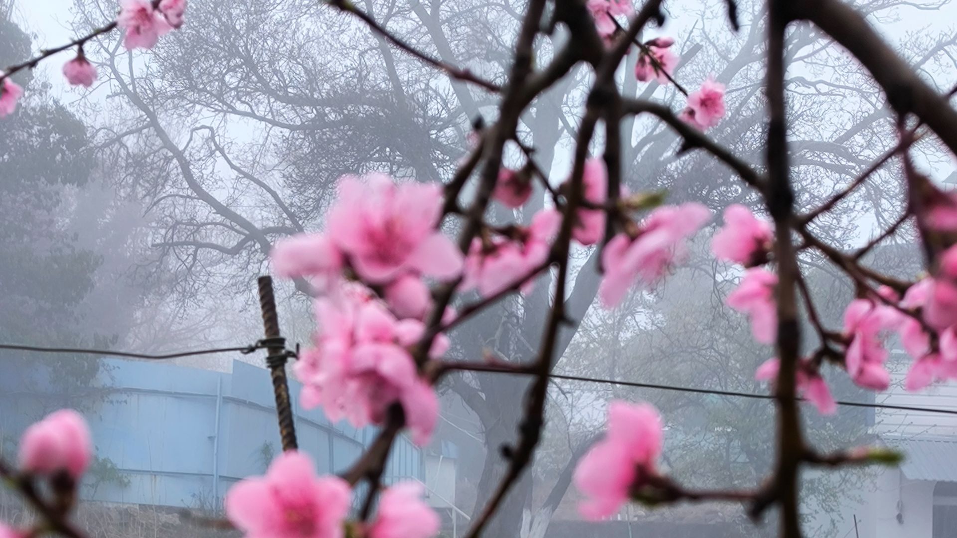 Песенная Медитация 09.04.2026