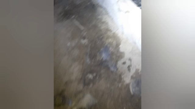 Заявка , заливает подвал канализация!