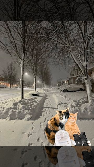 Как вам? Долго делала, делать проду?