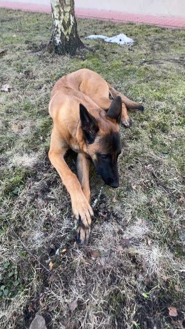 Малины в этом году не будет! 🤣🤣🤣