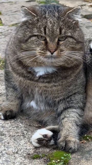 Долой, друзья, депрессию!