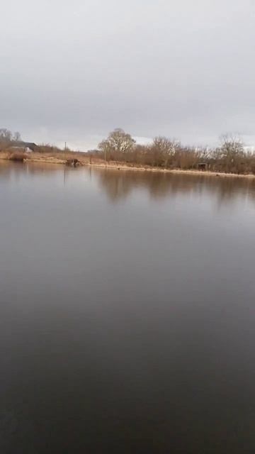 всё растаяло ждём лебедей