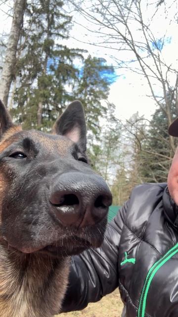 Главный герой канала! 🤣🤣🤣