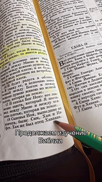 Каждый день возносим молитвы 🙏