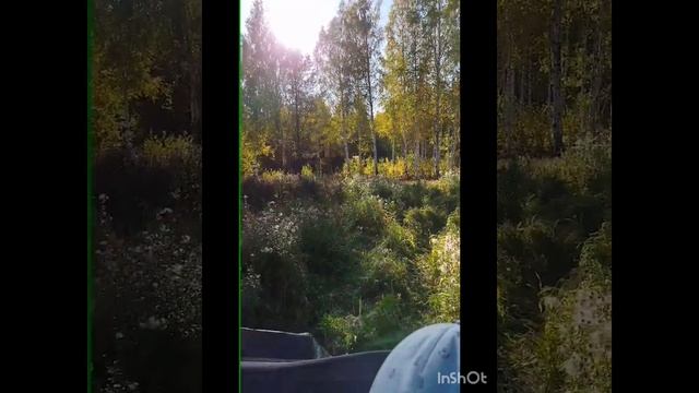 ВЕСТИ С УГОДИЙ.
РАЗВЕДКА - 2