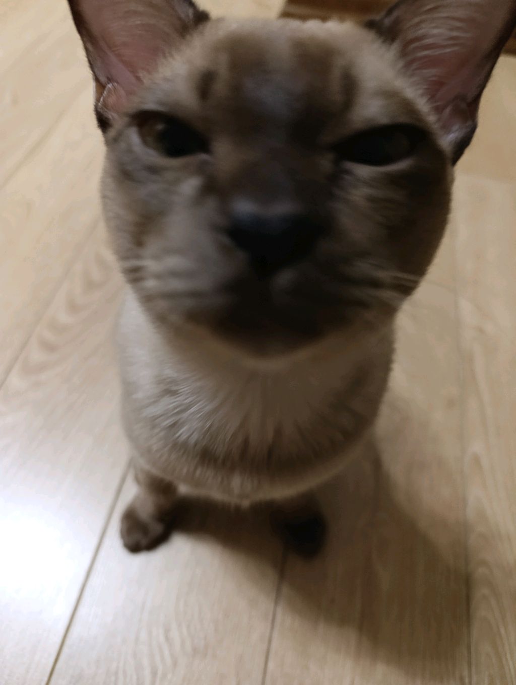 грвм в школу четверг