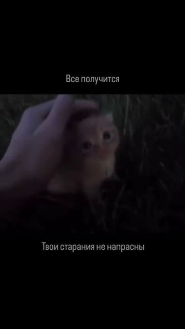 ВСЕ БУДЕТ ХОРОШО 🤗