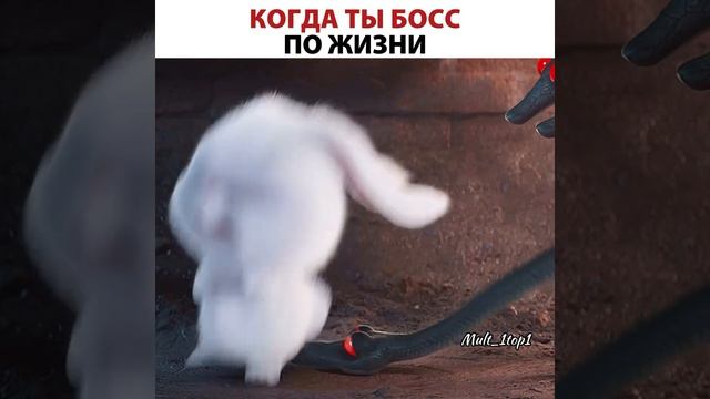 Бос по жизни мультфильм