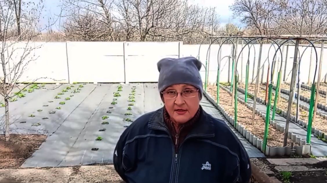 Всех переселила...расстроилась...теперь всё как у людей...