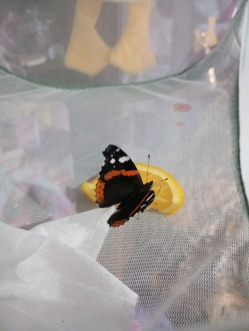 играем в вр