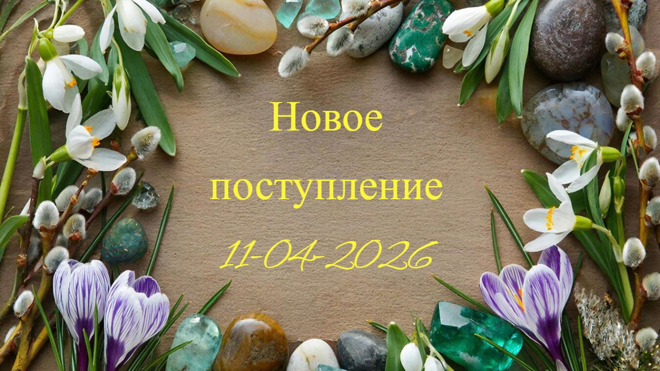 Новое поступление 11-04-2026