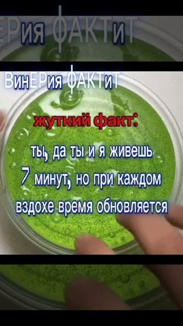 ^^-жуткий фактик...