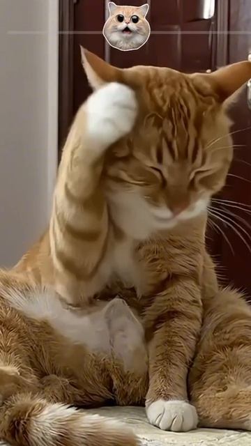 Я не давал согласие на съёмку. Это вторжение в личное пространство.