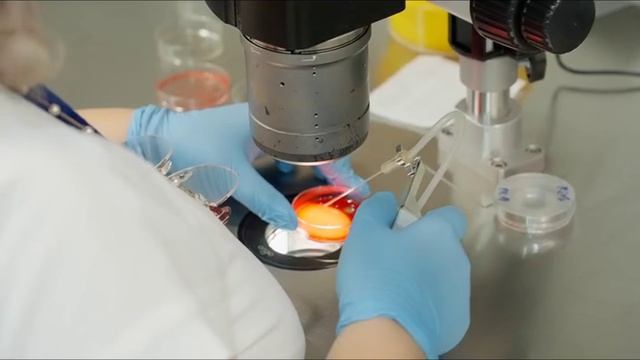 История успеха