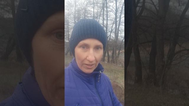 Про животных 🤔