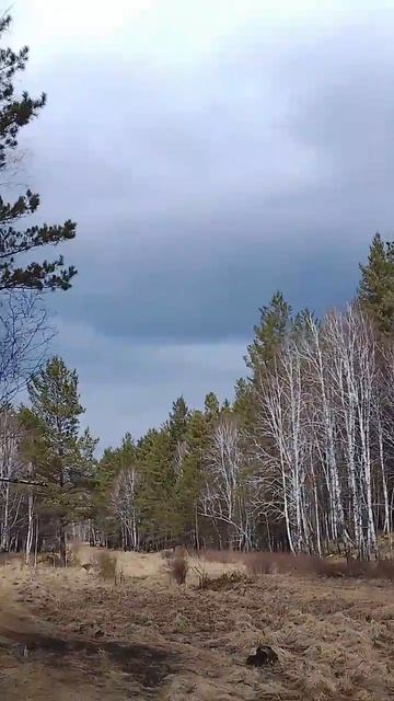 Снежный фронт надвигается