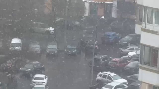 Еще кадры апрельской метели 🌨️Демо-версия весны закончилась — пора продлевать🤭