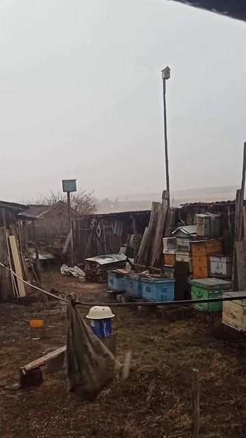 Первый ливень в 2026 году