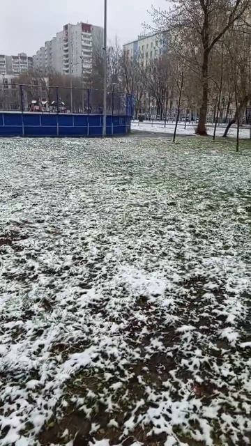 20260409 А зима-то вернулась...