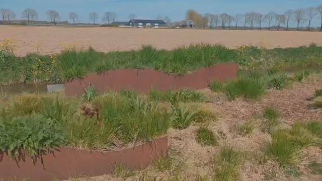 Видео от Кузница Qgarden