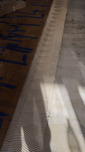 Copy_EF1D78D5-1581-4654-B855-D9DF0958FD83