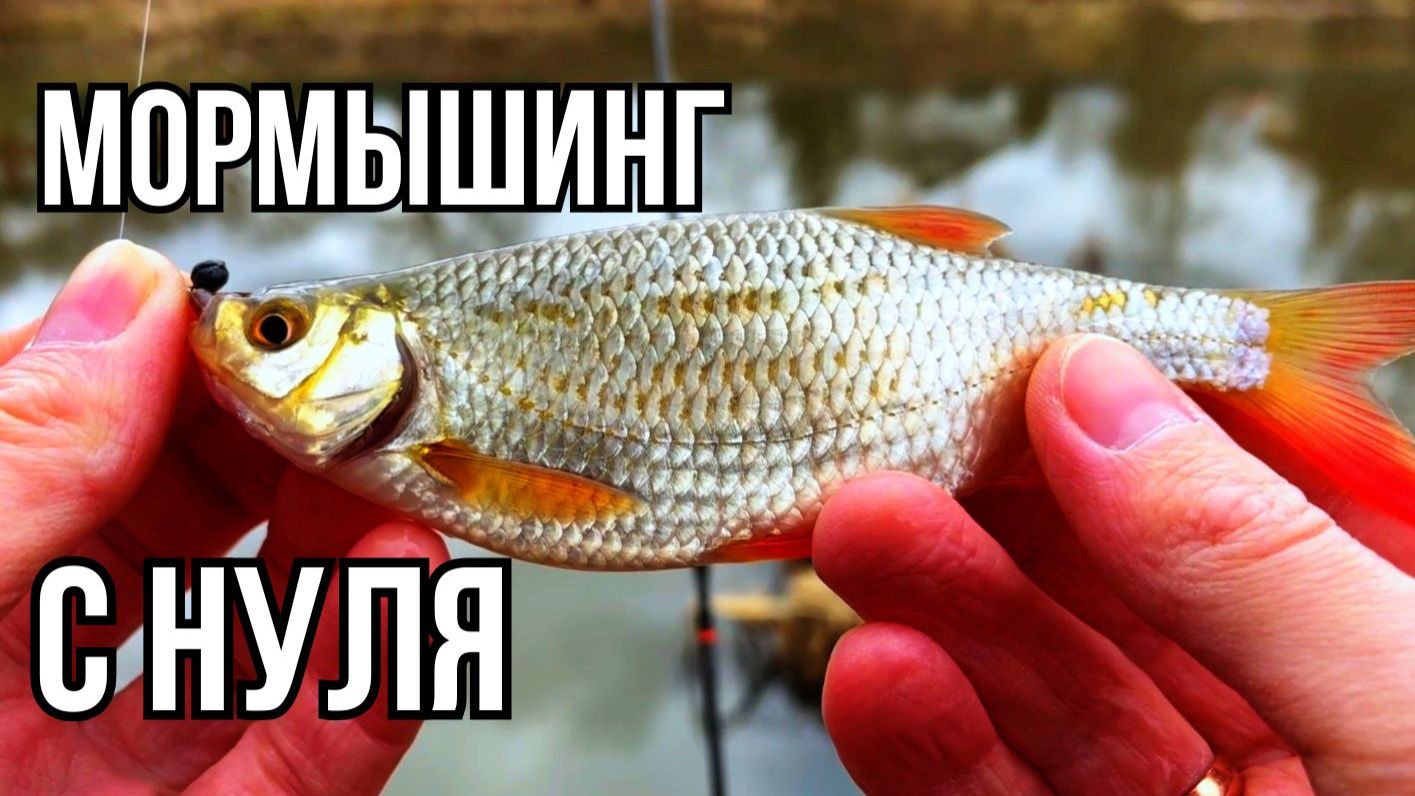 Мормышинг с нуля. Первый раз с Олта Колибри и Dayo Prestige 800. Тест на плотве