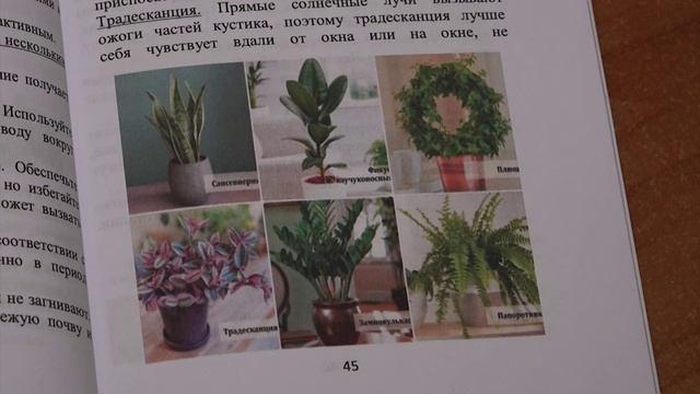 УТРО ИНГУШЕТИИ  100426