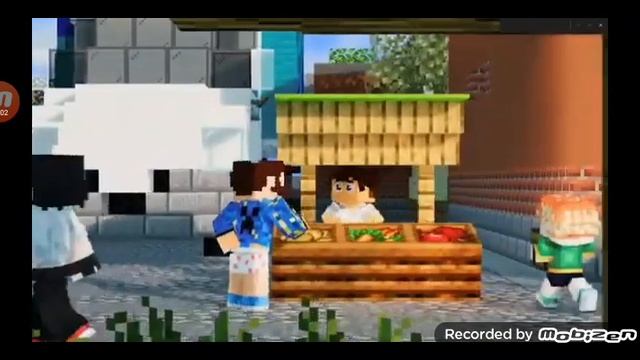 несколько фактов о домере.