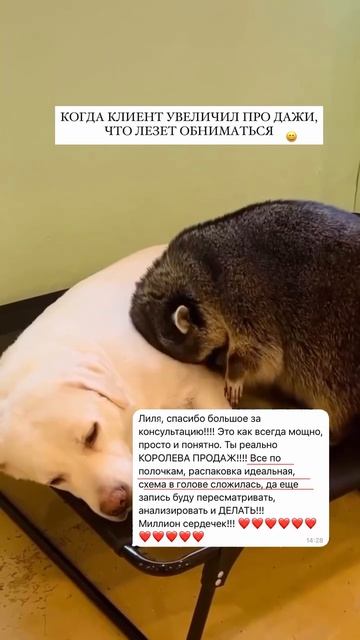 Забирай решение здесь, как увеличить прибыль с ии Https://t.me/ai_resheniya_pro/518