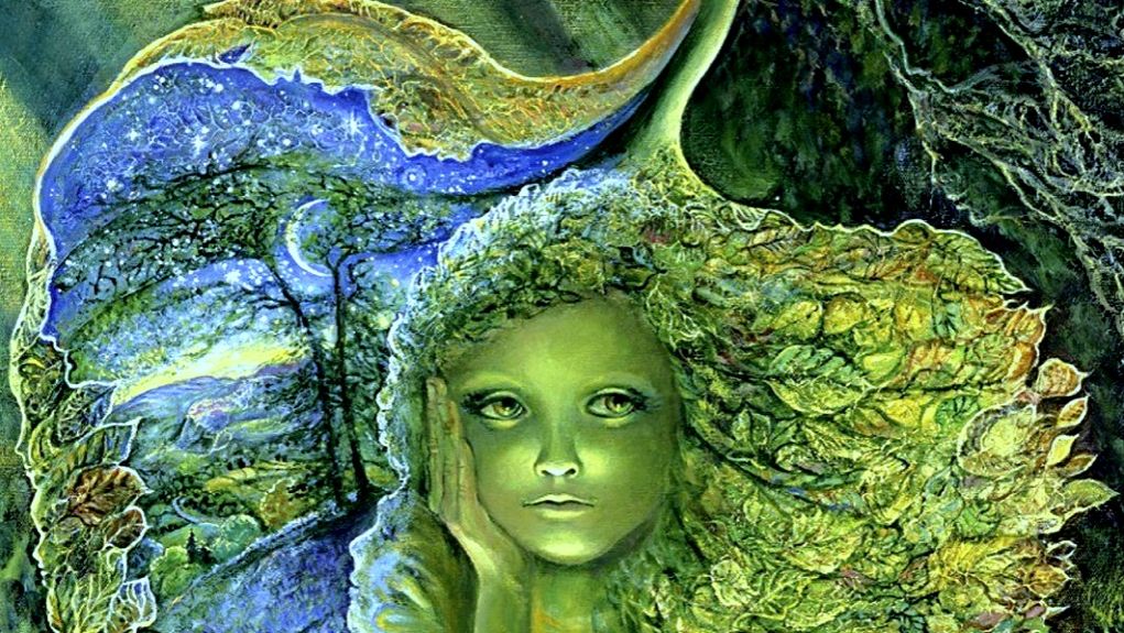 КОЛЛЕКТИВНЫЕ СОЗНАНИЯ РАСТЕНИЙ. Как проявляется в растительном мире Закон Единства.