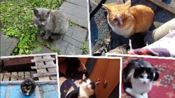 Всевидящее око за ними наблюдает.