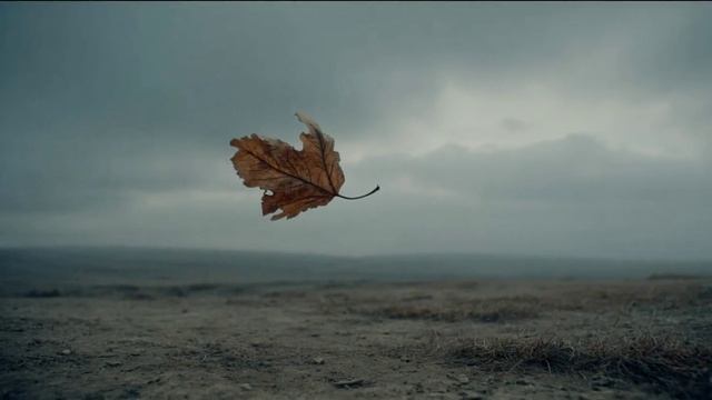 Я тобой дорожу..mp4