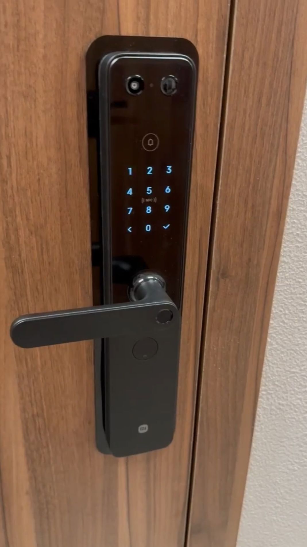 Установка электронного замка Xiaomi E30 Cat. Санкт-Петербург, ЖК Малоохтенский 68